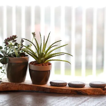 Appartamento Bsauna&wellness *